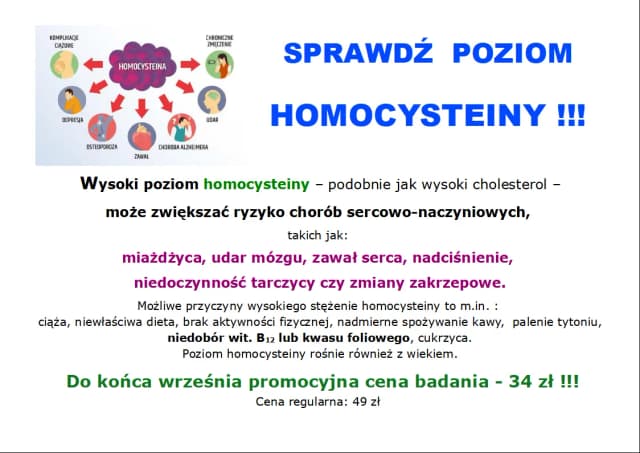 Ile kosztuje badanie homocysteiny? Poznaj ceny i ważne informacje Ile kosztuje badanie homocysteiny? Poznaj ceny i ważne informacje