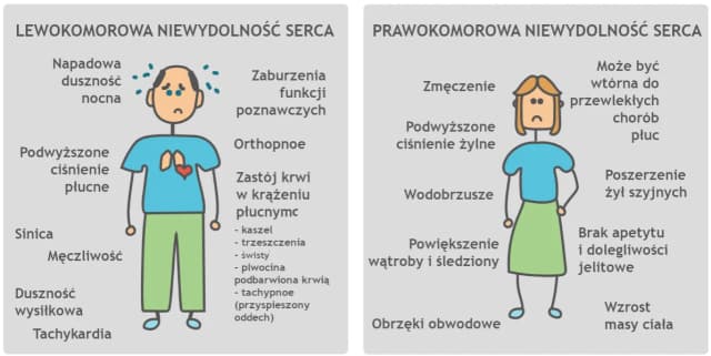 Jakie badania przy niewydolności serca? Kluczowe informacje dla pacjentów Jakie badania przy niewydolności serca? Kluczowe informacje dla pacjentów