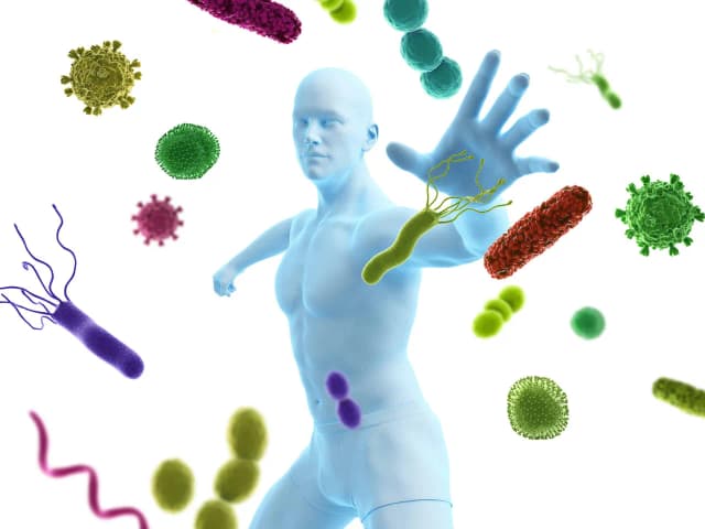 Jakie badania oceniają układ immunologiczny i dlaczego są ważne? Jakie badania oceniają układ immunologiczny i dlaczego są ważne?